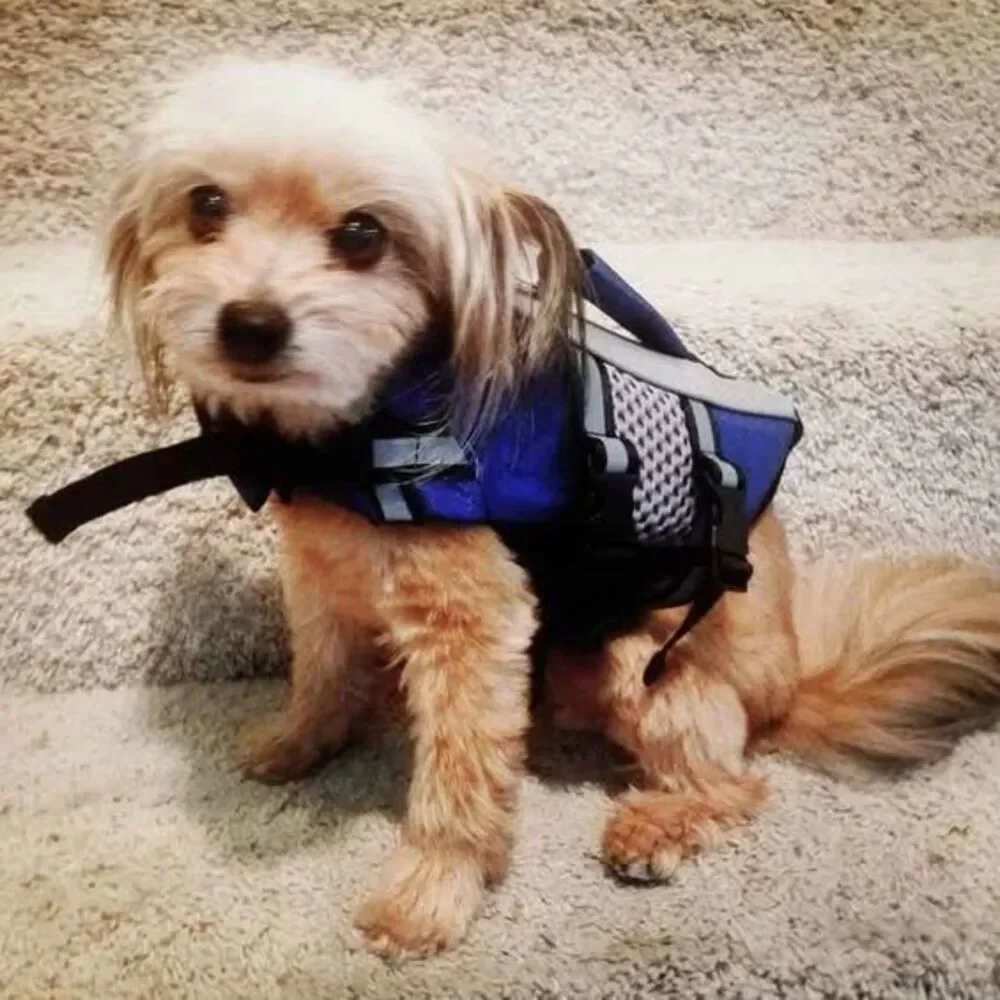 Dog Life Jacket XS Blue Swimming Vest Reflective,Handle, Leash Ring, Extra Small